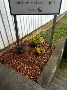 Photo de galerie - Petite création de massif 