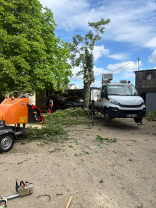 Photo de galerie - Intervention d’abattage d’arbre réalisé par LS Espaces Verts pour le démontage d’un ailante qui surplombait un toit fragile et un fil électrique. Grace à notre savoir faire en élagage technique, nous avons réalisé ce chantier délicat. 