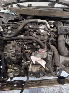 Photo de galerie - Remplacement pipe d'eau.