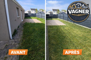 Photo de galerie - Tonte                               