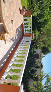 Photo de galerie - Peinture balustrade 