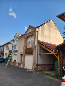 Photo de galerie - Demousage et traitement de dalep d'yldrofuge