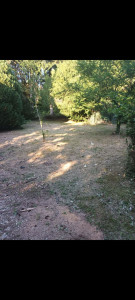 Photo de galerie - Débroussaillage d'un terrain chez un particulier 