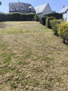 Photo de galerie - Taille haies 
