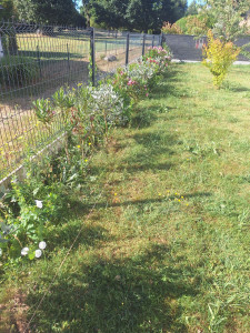 Photo de galerie - Bricolage et multi services