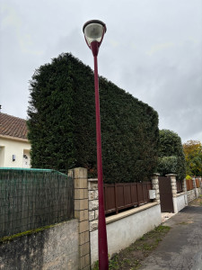 Photo de galerie - Taille 