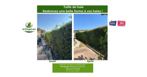 Photo de galerie - Avant/Après Taille de haie