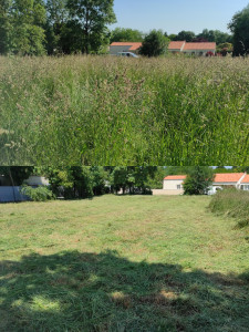 Photo de galerie - Tonte de pelouse - Débroussaillage