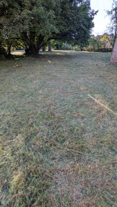 Photo de galerie - Jardin après réalisation 
