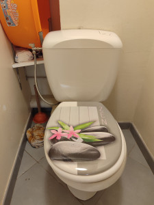 Photo de galerie - Changement de réservoir WC