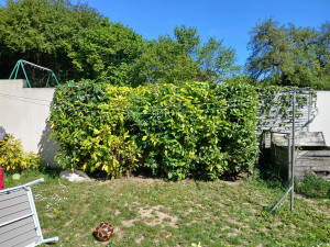 Photo de galerie - ??