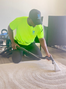 Photo de galerie - Injection extraction: tapis et canapé 