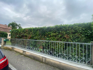 Photo de galerie - Taille de haies et d'arbustes