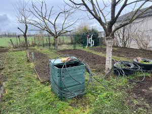 Photo de galerie - Elagage et coupe d'arbres