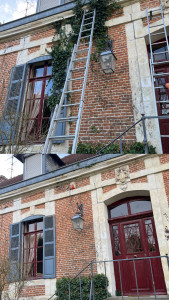 Photo de galerie - Enlèvement de lierre sur façade 