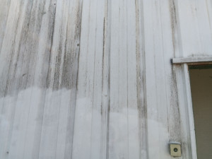 Photo de galerie - Nettoyage