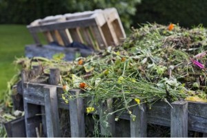 Photo de galerie - Besoin d'Aide pour Evacuation de Déchets, Encombrants:
Jardin, Travaux, Débarras de Maison /Appartement / Local