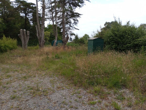 Photo de galerie - élagage et abattage délicat de 5 sapins de plus 15 mètres ?