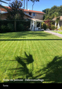 Photo de galerie - Tonte pelouse 