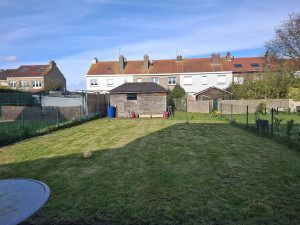 Photo de galerie - Tonte de pelouse - Débroussaillage