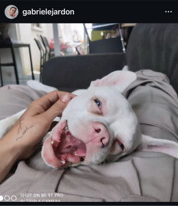 Photo de galerie - Sourd et chiot mais trop beau merci 