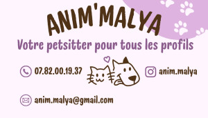 Photo de galerie - Graphisme - Création flyer - plaquette 