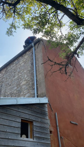 Photo de galerie - Destruction de nid de frelons en toiture 