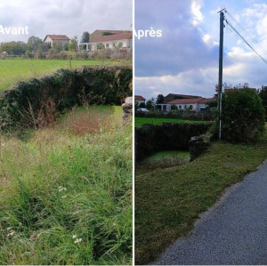 Photo de galerie - Debroussaillage 