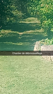 Photo de galerie - Débroussaillage chemin de randonnée 