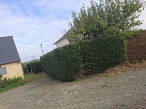 Photo de galerie - Taille de haie