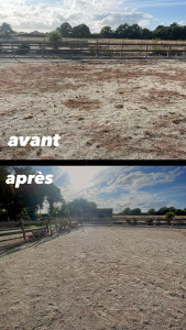 Photo de galerie - Désherbage 