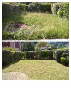 Photo de galerie - Entretien complet et nettoyage du jardin client ravi