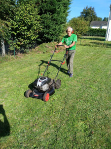 Photo de galerie - Tonte pelouse