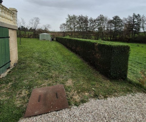 Photo de galerie - Taille de haies