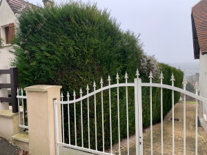 Photo de galerie - Taille de haie avant 