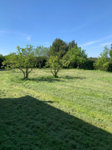 Photo de galerie - Tonte et taille 