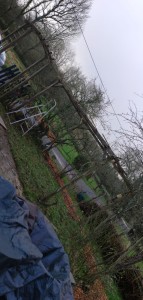 Photo de galerie - Restauration