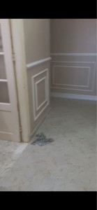 Photo de galerie - Décoration 