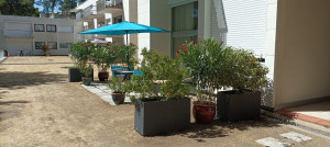 Photo de galerie - Paysagiste - Aménagement du jardin