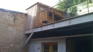 Photo de galerie - Implantation d'un cabanon sur terrasse avec rembarde et escalier métallique 