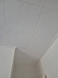 Photo de galerie - Pose de dalle au plafond 