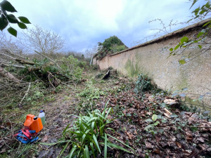 Photo de galerie - Enlevage de lierre sur mur et toiture 