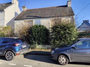 Photo de galerie - Suppression et nettoyage d’un parc
