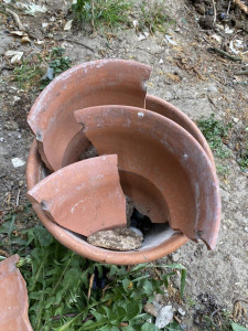 Photo de galerie - .