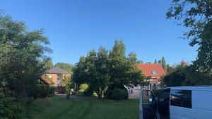 Photo de galerie - .