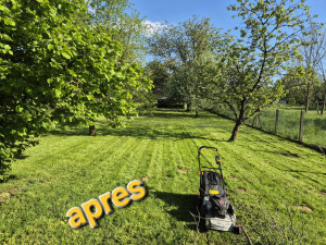 Photo de galerie - Tonte de pelouse - Débroussaillage