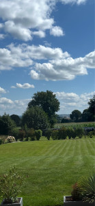 Photo de galerie - Tonte de pelouse - Débroussaillage
