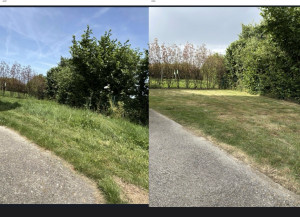 Photo de galerie - Tonte de pelouse et débroussaillage 
