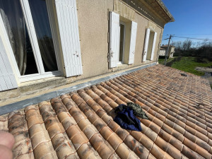 Photo de galerie - Couverture - Toiture