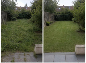 Photo de galerie - Jardin laissé un peu à l’abandon avec herbe haute, quelques mauvaises herbes sur la terrasse et végétation non taillée. L’ensemble reste récupérable facilement avec une tonte et un entretien classique.